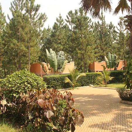 Saltek Forest Cottages Masindi Eksteriør billede
