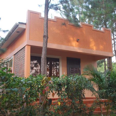 Saltek Forest Cottages Masindi Eksteriør billede