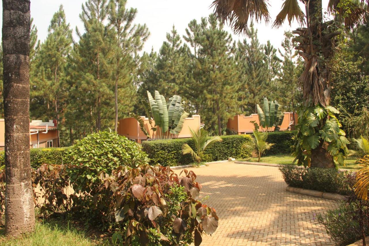 Saltek Forest Cottages Masindi Eksteriør billede