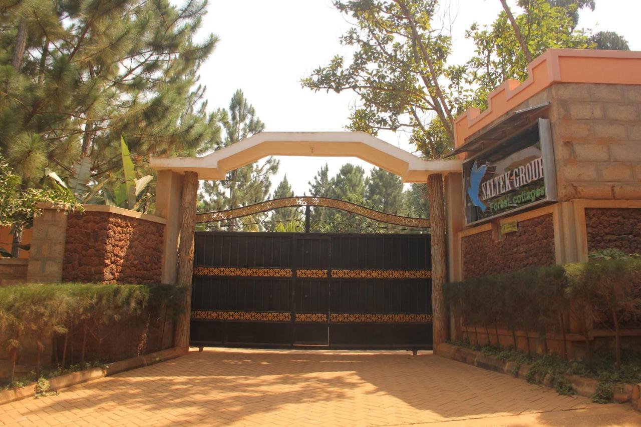 Saltek Forest Cottages Masindi Eksteriør billede