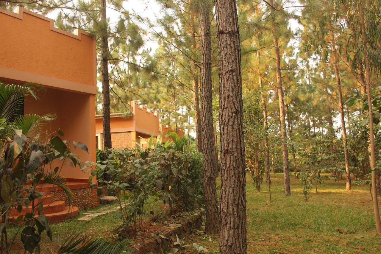 Saltek Forest Cottages Masindi Eksteriør billede