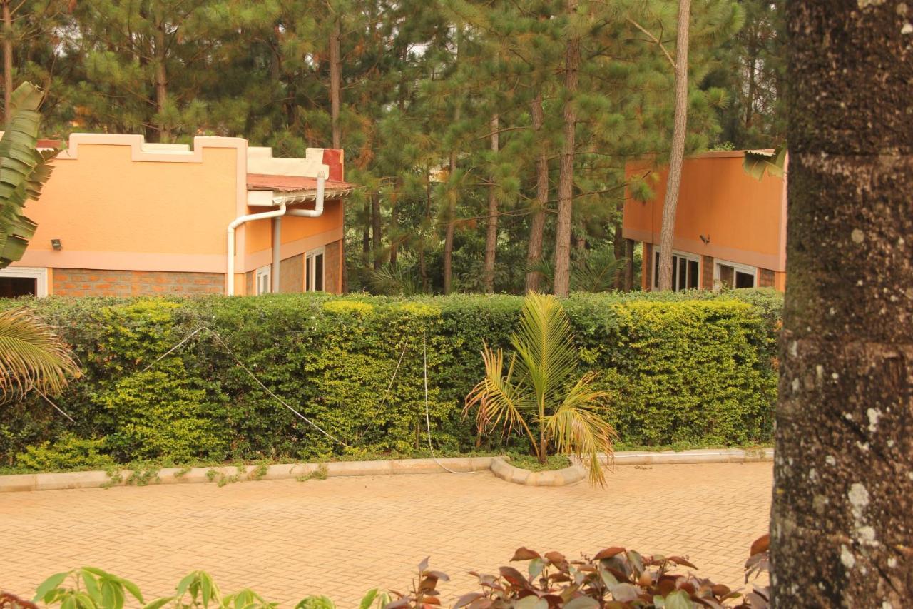 Saltek Forest Cottages Masindi Eksteriør billede