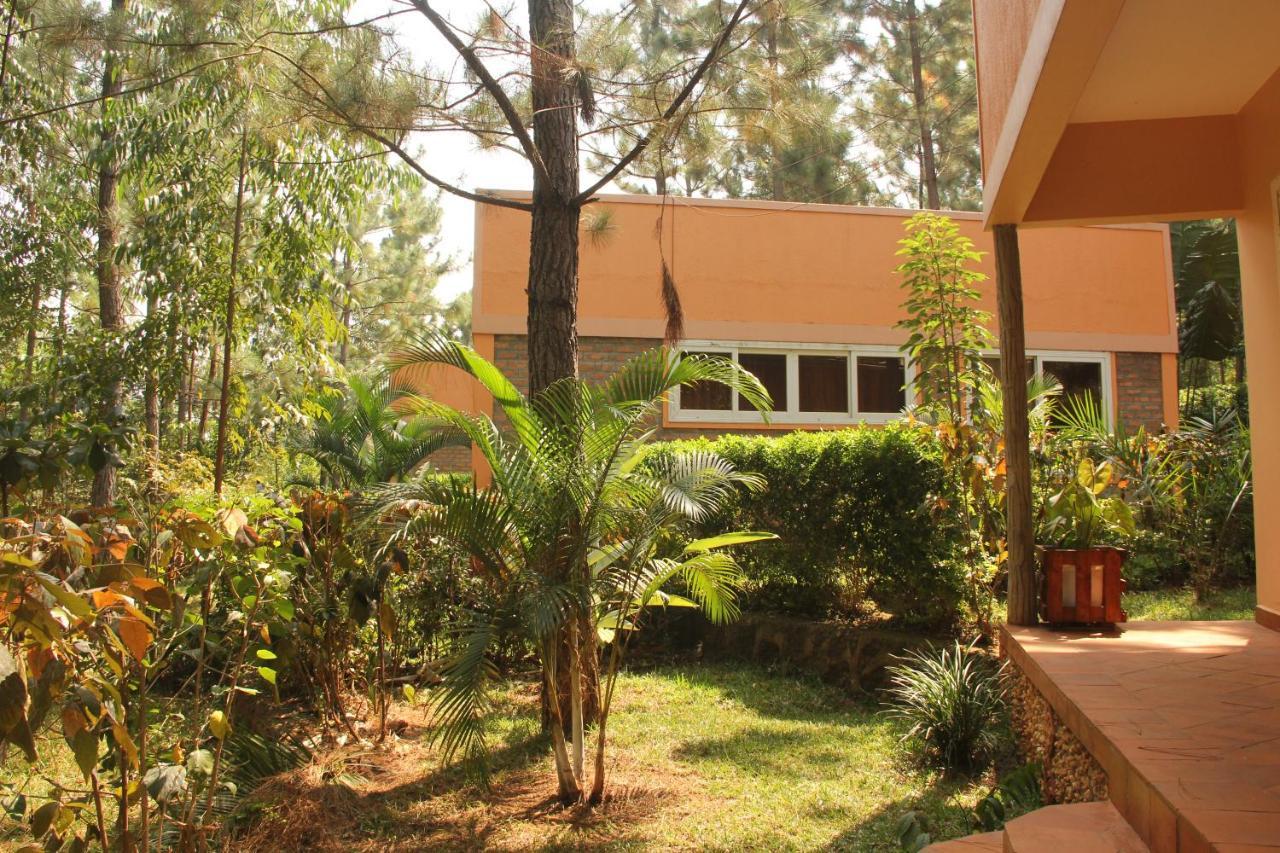 Saltek Forest Cottages Masindi Eksteriør billede
