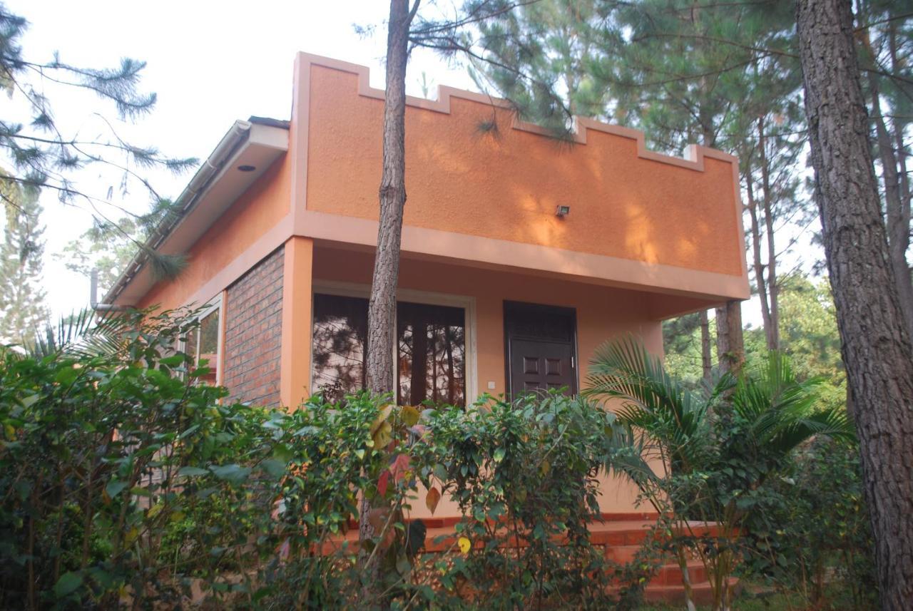 Saltek Forest Cottages Masindi Eksteriør billede
